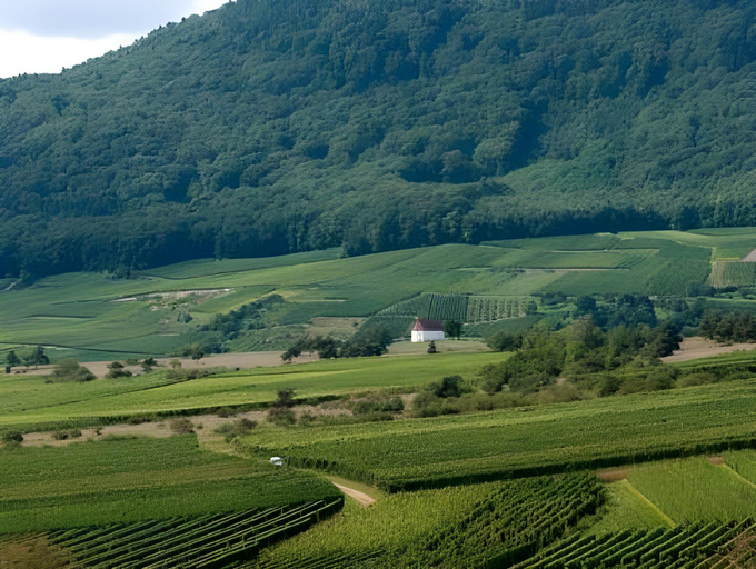 Others 4, Hotel Du Bollenberg, Haut-Rhin