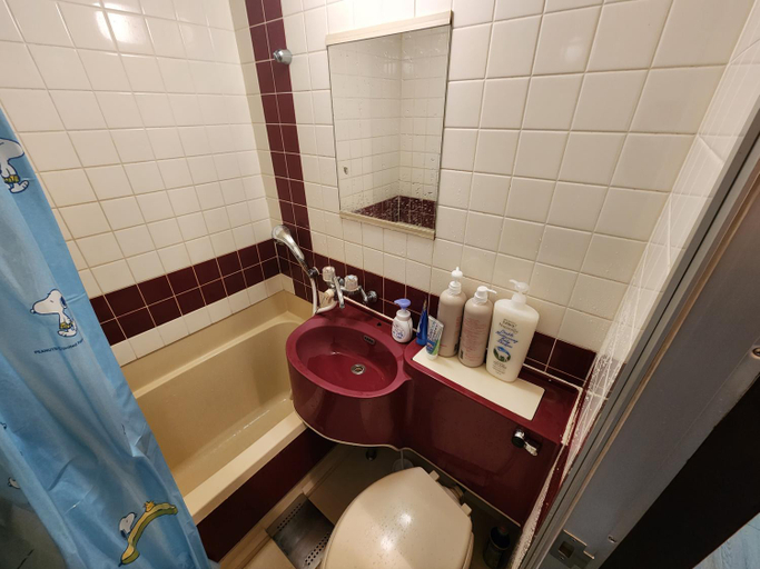 Bathroom, MORI Apartment2 道頓堀(Dotonbori) 1K, Osaka