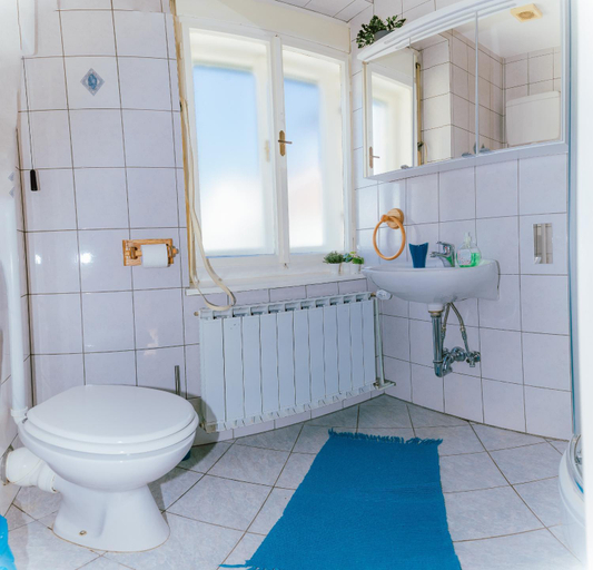 Bathroom, B&B Vransko 29, Vransko