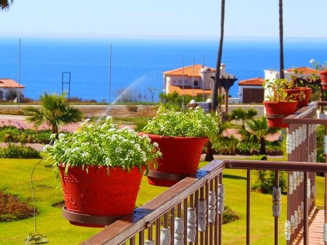 Scenery 1