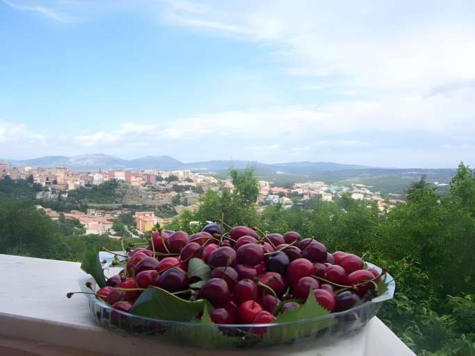 Food & Drinks 5, B&B Meladormo, Olbia-Tempio