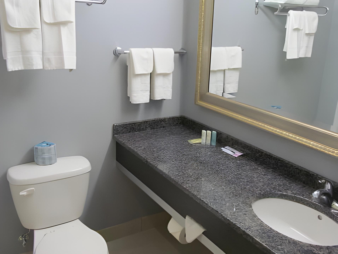 Bathroom 3, Quality Inn & Suites, Arthabaska