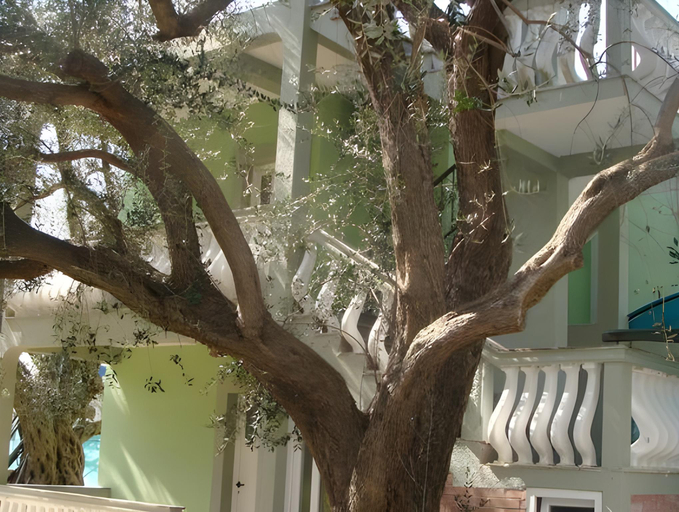 Others 3, Apartments Oliva