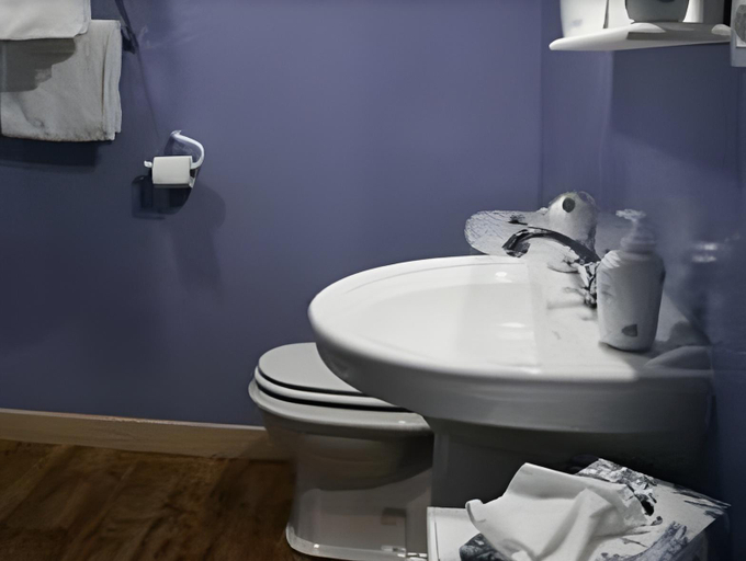 Bathroom 3, Le St Vincent, Landes
