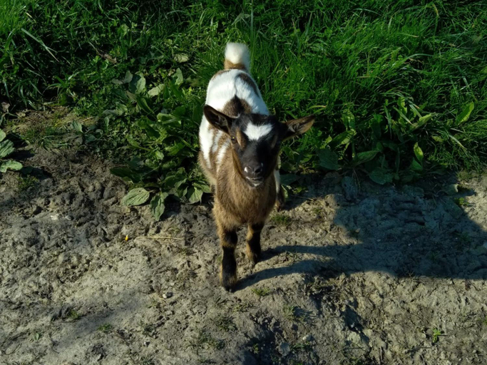 Others 3, eco nature, gite a la ferme, Gironde