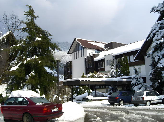 Others 5, Hirschen, Breisgau-Hochschwarzwald