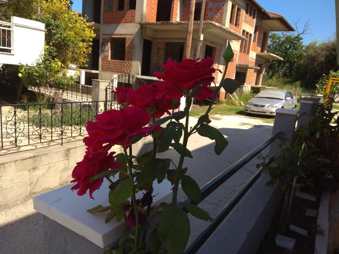 Others 5, Arxontiko Studios, East Macedonia and Thrace