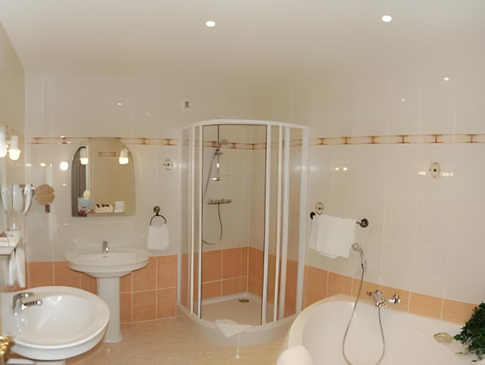 Bathroom 2, HOTEL RIQUET, Haute-Garonne