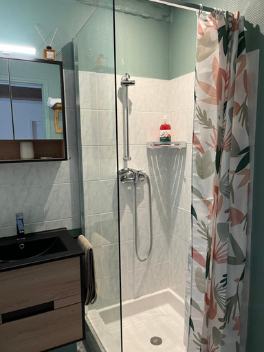 Bathroom 4, L'enclos bleu, gite - marais poitevin avec piscine chauffee, Vendée