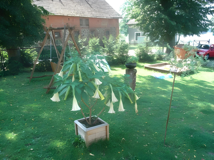 Others 4, Stara Szkola w Harszu, Węgorzewo
