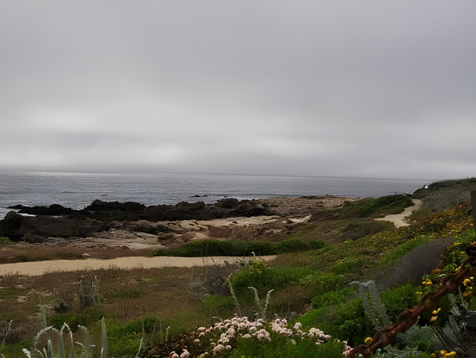 Others 5, Butterfly Grove Inn, Monterey
