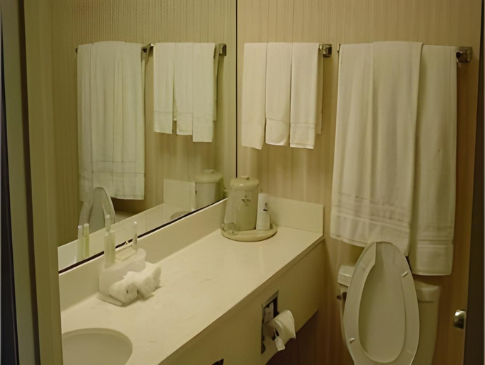 Bathroom 5, Holiday Inn Express & Suites WILSON I-95 by IHG, Wilson