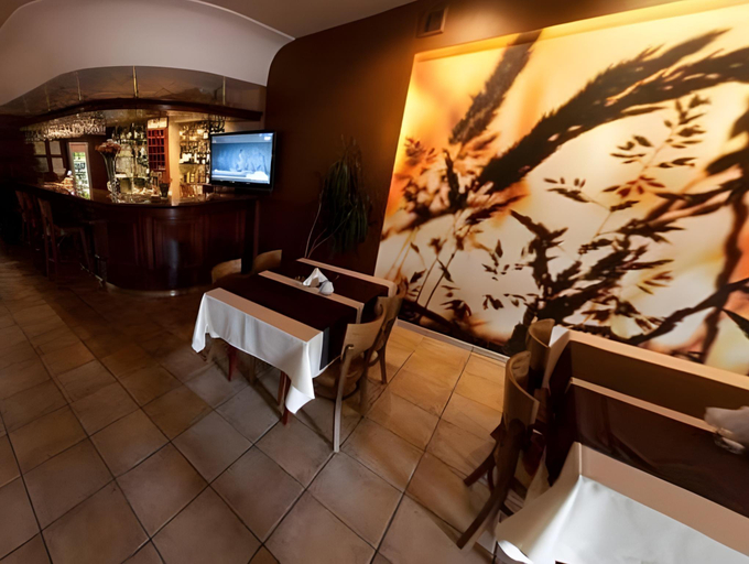 Public Area, Hotel Millennium, Przasnysz