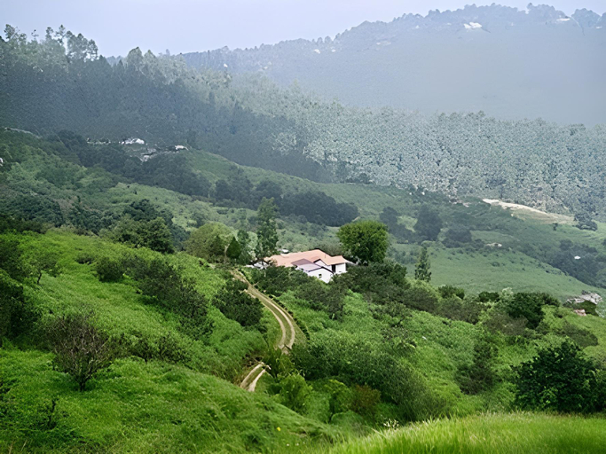 Others 4, Ranikhet Inn, Almora
