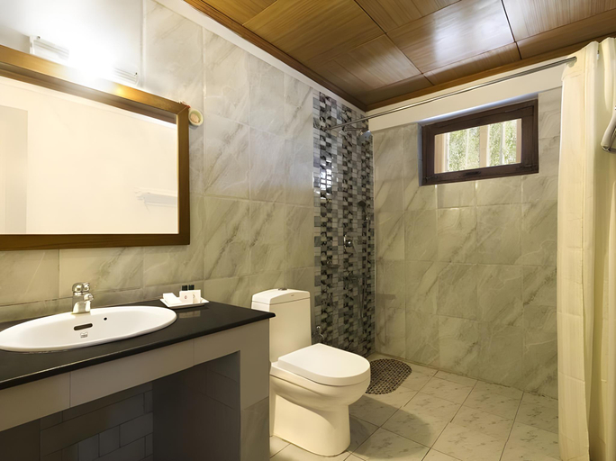 Bathroom 2, Hotel Caravan Centre, Leh