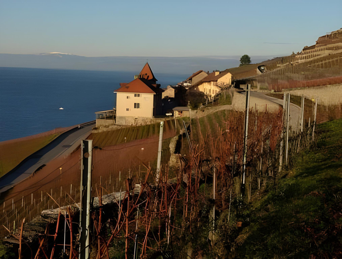 Others 4, Domaine du Burignon, Pays-d'Enhaut