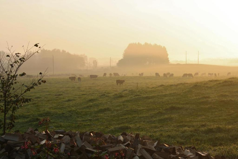 Others 3, Gula Vagnen Nostalgi och natur i unik cirkusvagn, Hörby