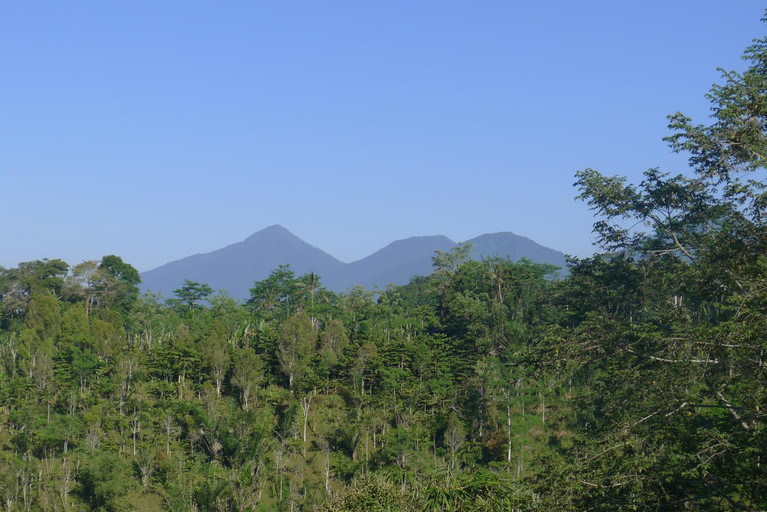 Scenery 7