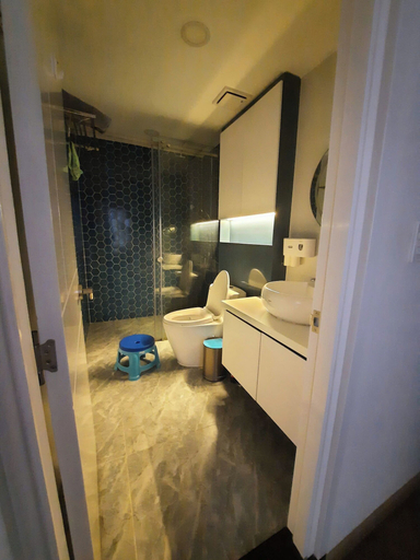 Bathroom, Cosmo City, District 7