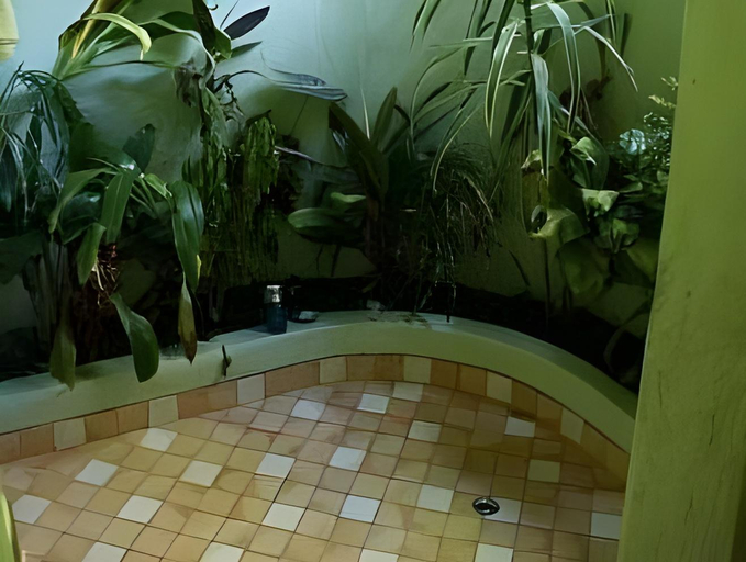 Bathroom 4, Playa Nicuesa Rainforest Lodge, Golfito