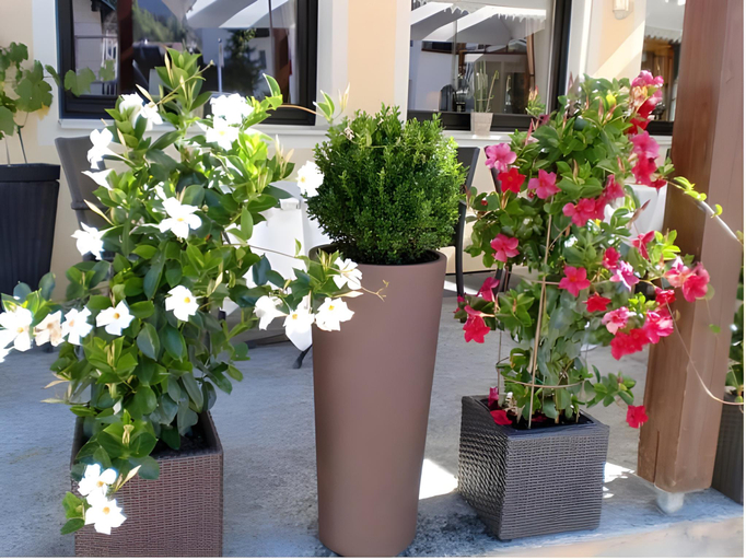 Others 4, Hotel Post - Garni, Reutte