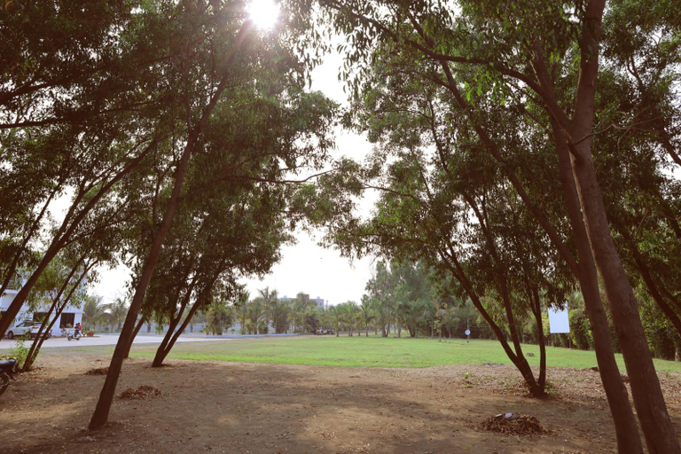Scenery
