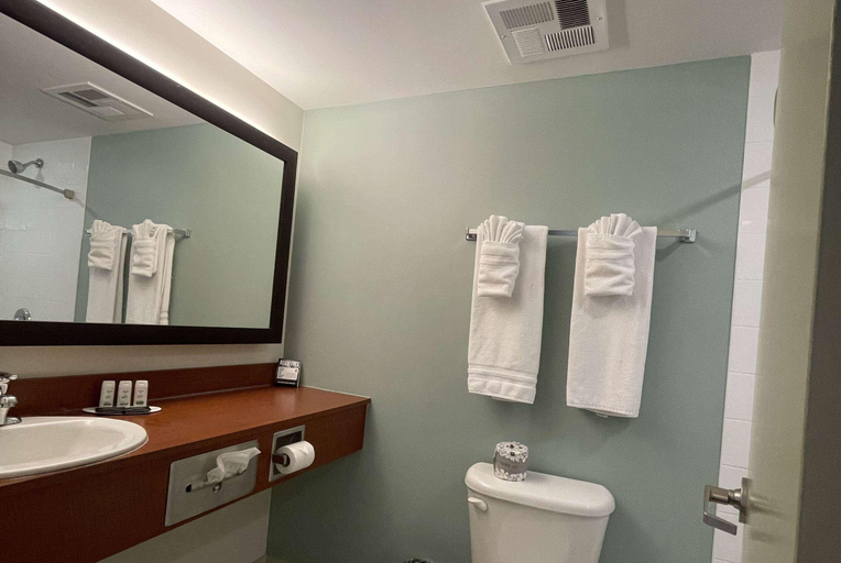 Bathroom 13