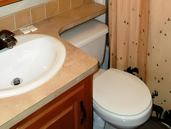 Bathroom 3, Cedar Pines Resort, El Dorado