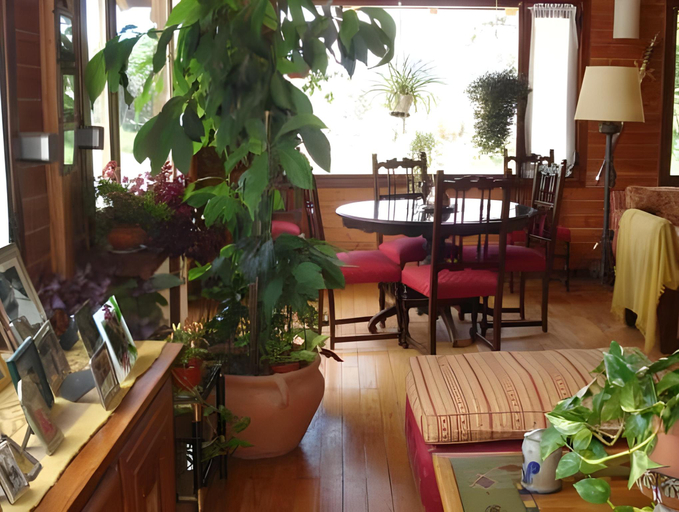 Public Area 2, La Roca de la Patagonia, Los Lagos