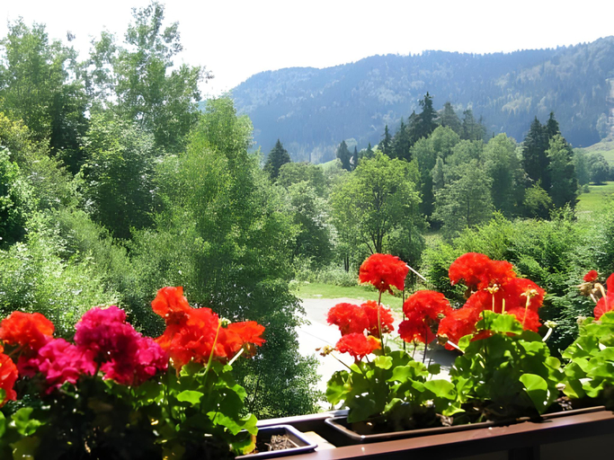 Others 5, Hotel Silberfelsen, Waldshut