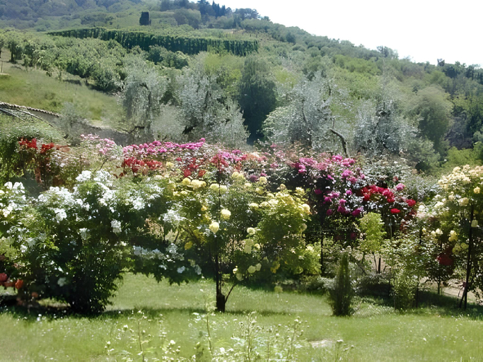 Others 5, Cappuccini Resort, Brescia