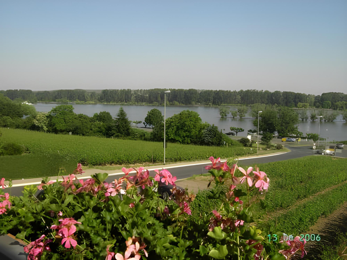 Others 5, RUTHMANN-Rheinblick GARNI, Rheingau-Taunus-Kreis