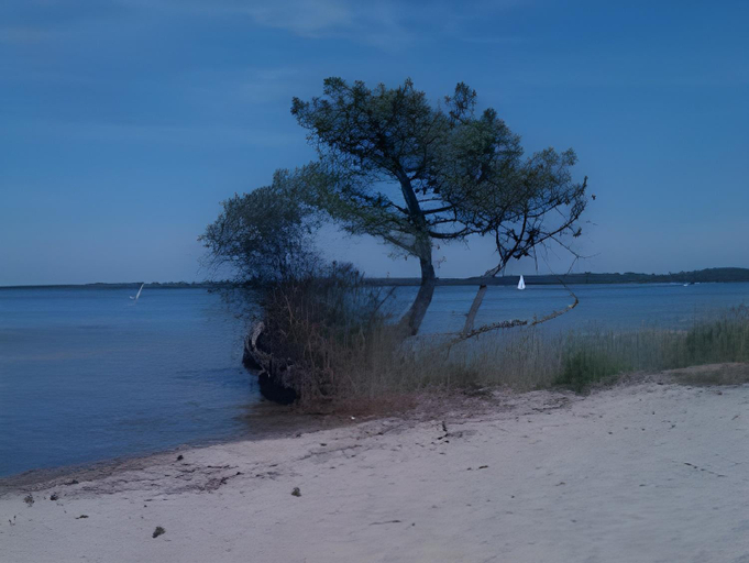 Others 2, Hotel - Restaurant Atlantide, Landes
