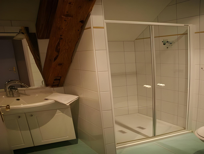 Bathroom 2, Auberge de la Riviere, Jura