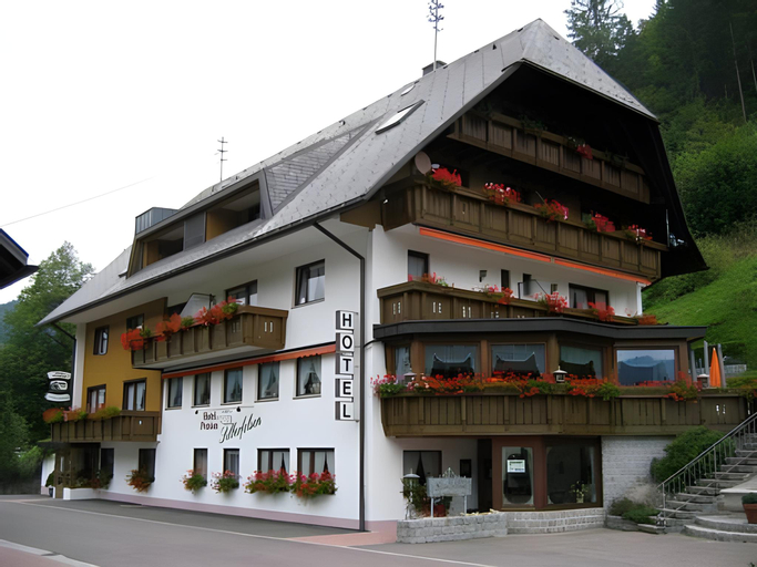 Exterior & Views 1, Hotel Silberfelsen, Waldshut