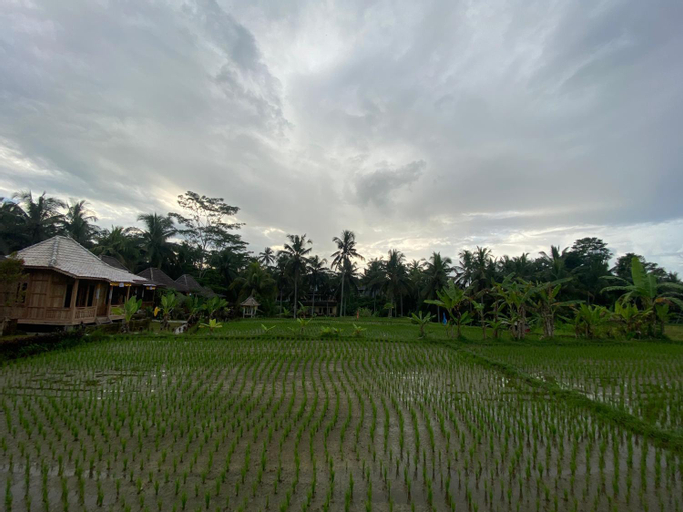 Scenery 8