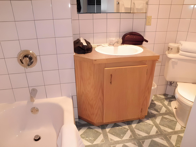 Bathroom 5, Almo Court Motel, East Kootenay