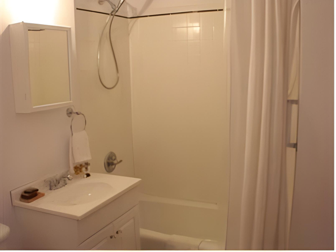 Bathroom 3, ザ ホーランド ホテル, Brewster