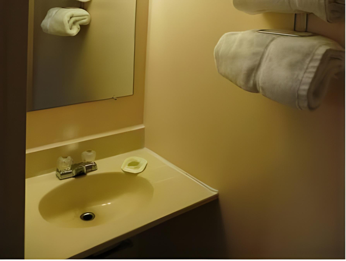 Bathroom 2, Good Night Inn, Niagara