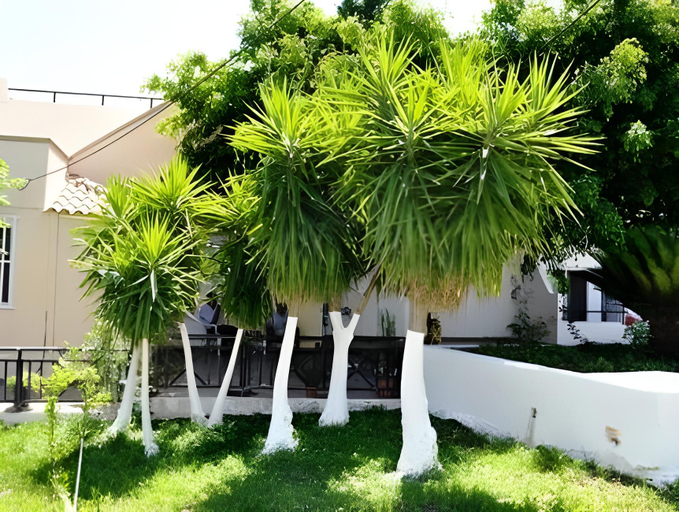 Others 5, Vlycha Beach Apartments, South Aegean