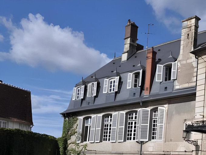 Others 5, L'Hotel de Panette, Un exceptionnel chateau en coeur de ville - parking prive cour, Cher