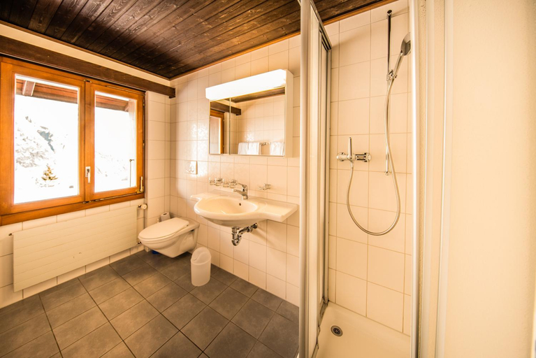 Bathroom 3, Sportchalet Murren, Interlaken