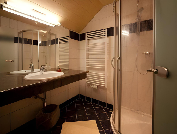 Bathroom 3, Hotel Die Metzgerstubn, Tamsweg