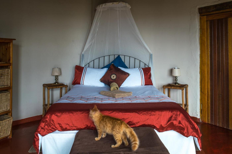 Bedroom 5
