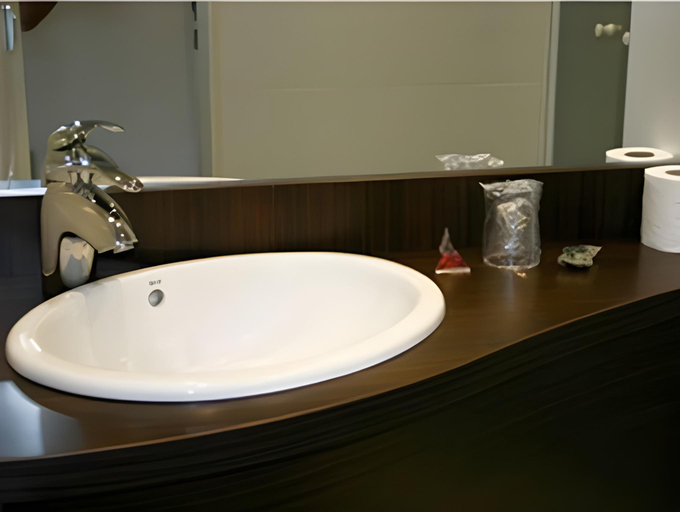 Bathroom 5, Parc Hotel, Pas-de-Calais