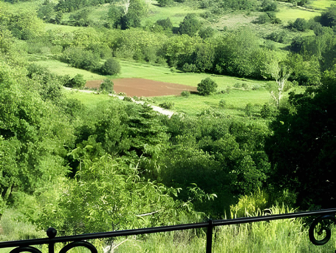 Others 4, Helicon Muses Friendly Mountain B&B Guesthouse, Central Greece