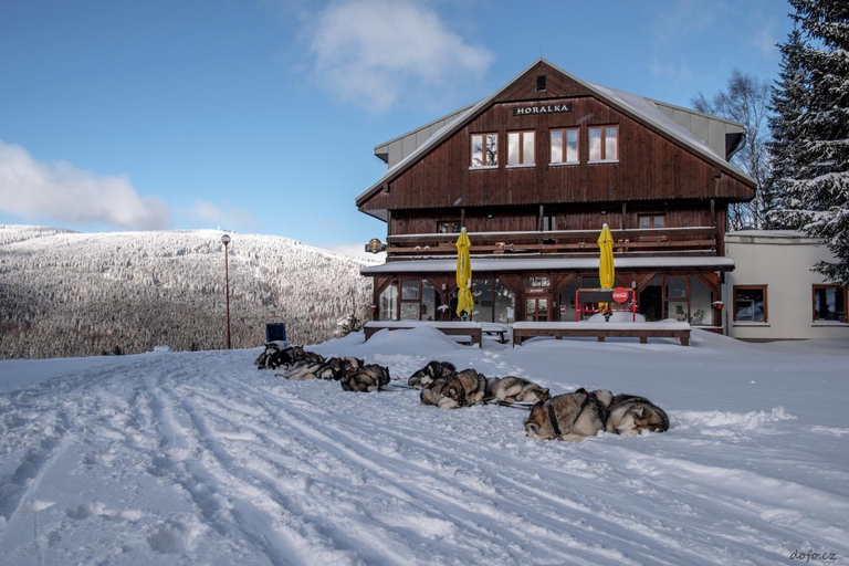 Others 5, Pension Horalka, Trutnov