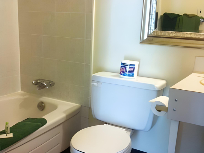 Bathroom, Alpine Lodge Motel, Division No. 18