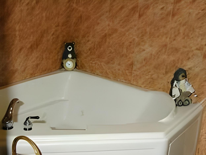 Bathroom 4, Gateway Inn and Suites, Chaffee