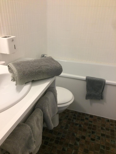 Bathroom 4, Logis Hotel le Dahu, Loire
